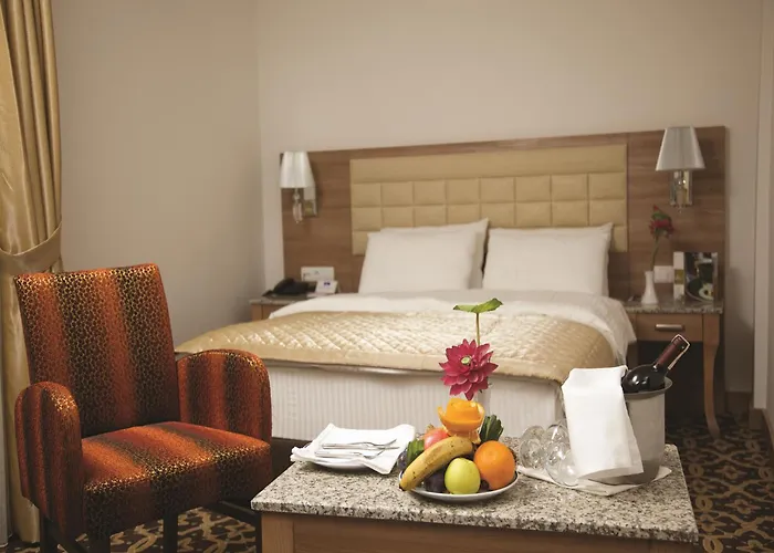 城市酒店 酒店 4*