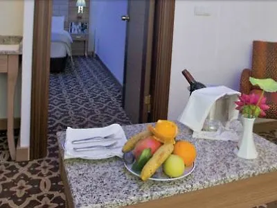 The Hotel 4*